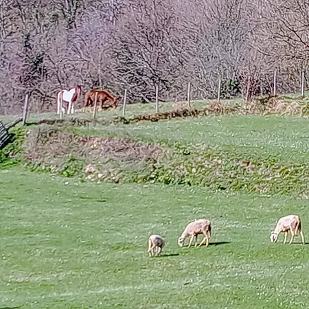 Maurizio Nel Borgo Medievale * Prota