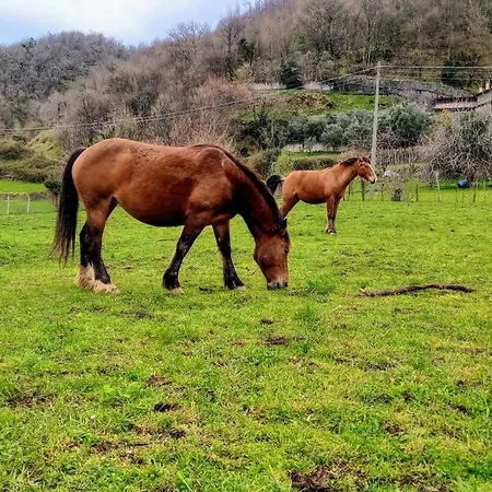 Maurizio Nel Borgo Medievale Lägenhet Prota