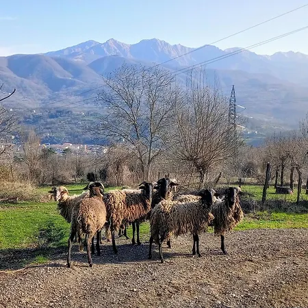 Lägenhet Maurizio Nel Borgo Medievale