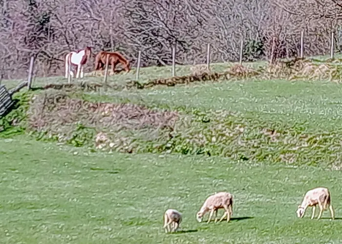 Maurizio Nel Borgo Medievale * Prota