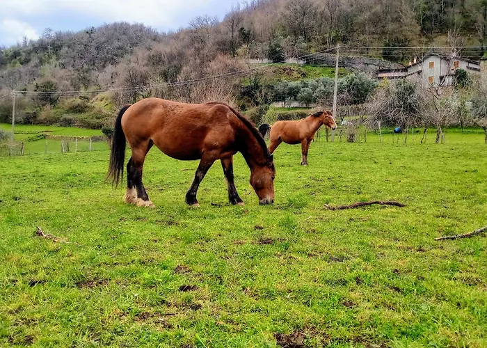 Maurizio Nel Borgo Medievale Lägenhet Prota