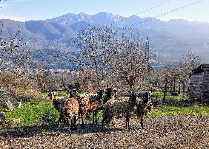 Lägenhet Maurizio Nel Borgo Medievale